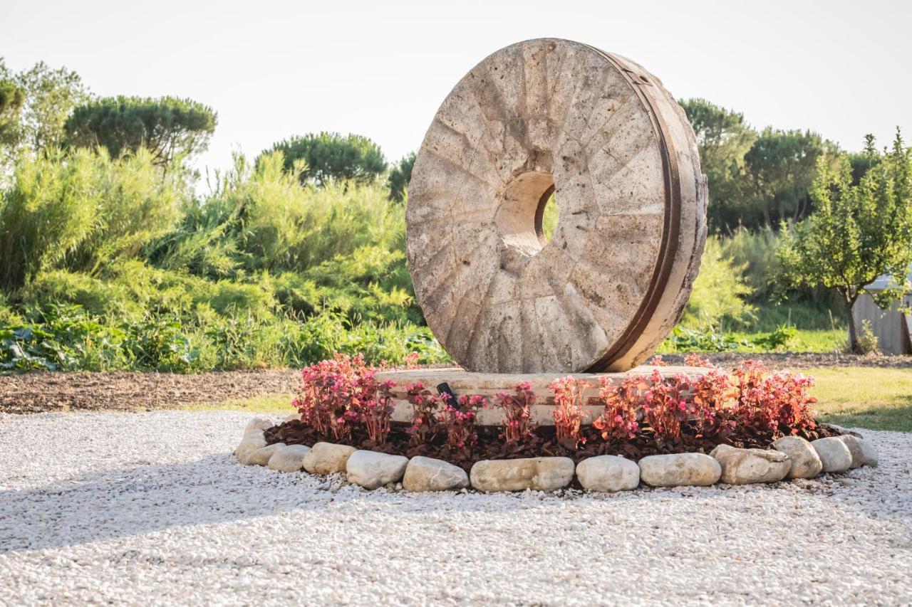 La Dimora Del Mugnaio Bed & Breakfast San Giovanni In Marignano Eksteriør bilde